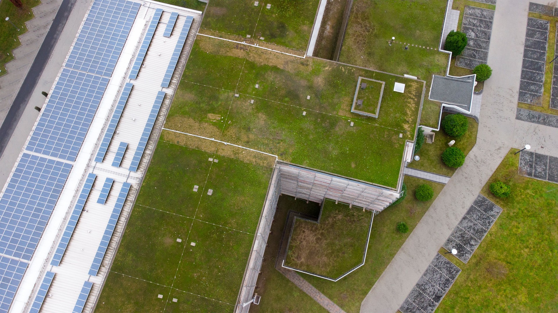 Grass on rooftops and solar panels of an office building - aerial view